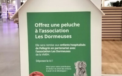 La collecte de peluches bat son plein à Bordeaux