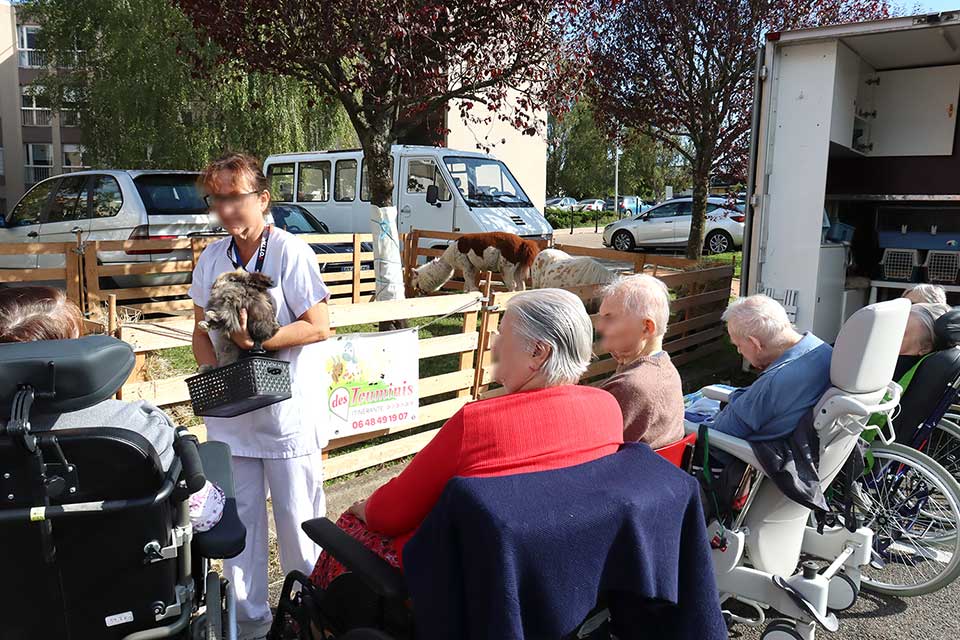 Ferme pedagogique itinérante des Touminis