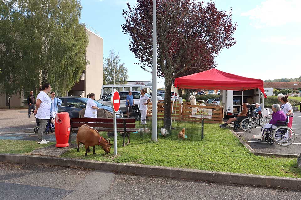 Ferme pedagogique itinérante des Touminis