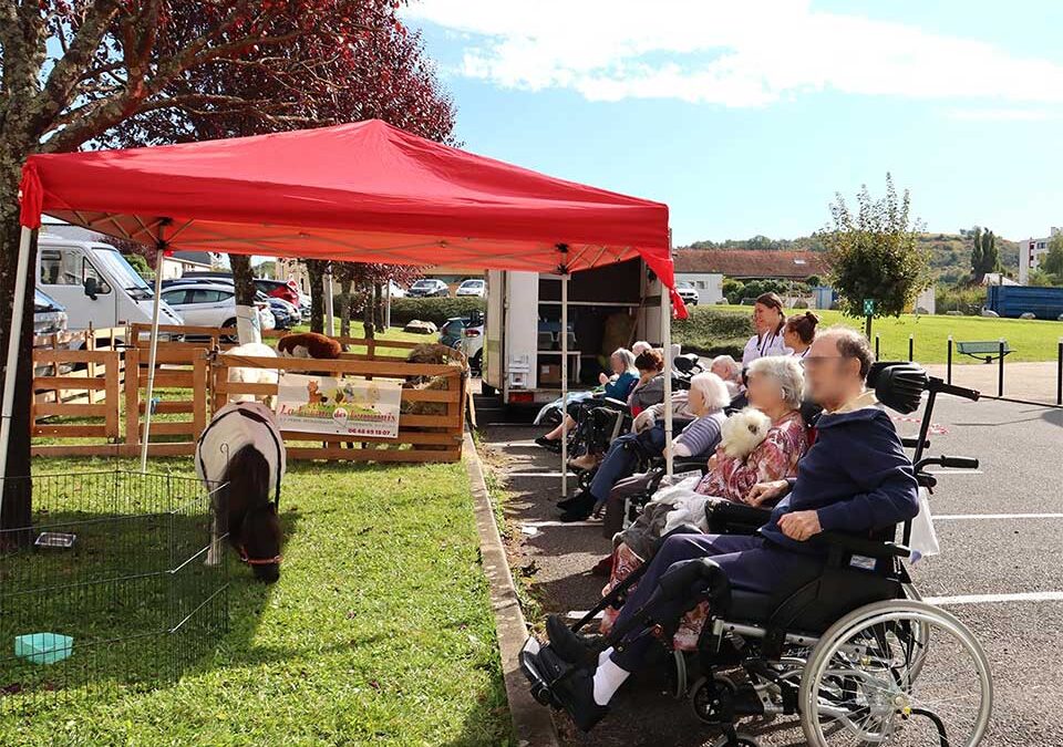 Animation originale aux longs séjours du centre hospitalier de Vichy
