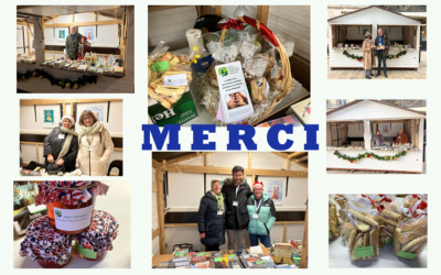 Chalet de Noël