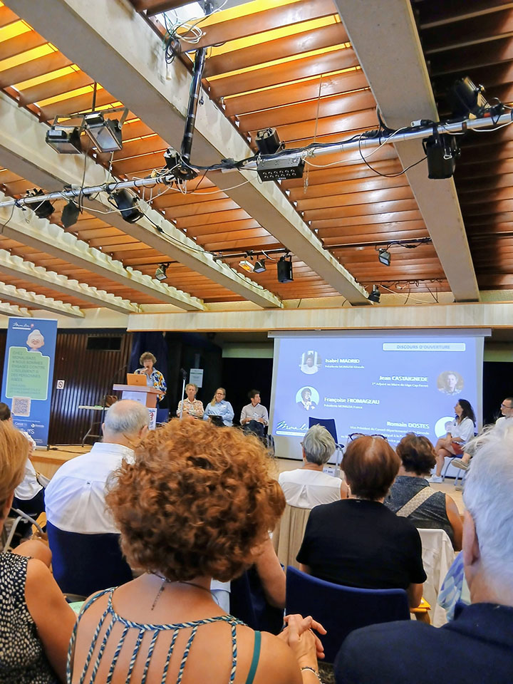 VMEH33 Grand rassemblement Monalisa Gironde VMEH33 Grand rassemblement Monalisa Gironde